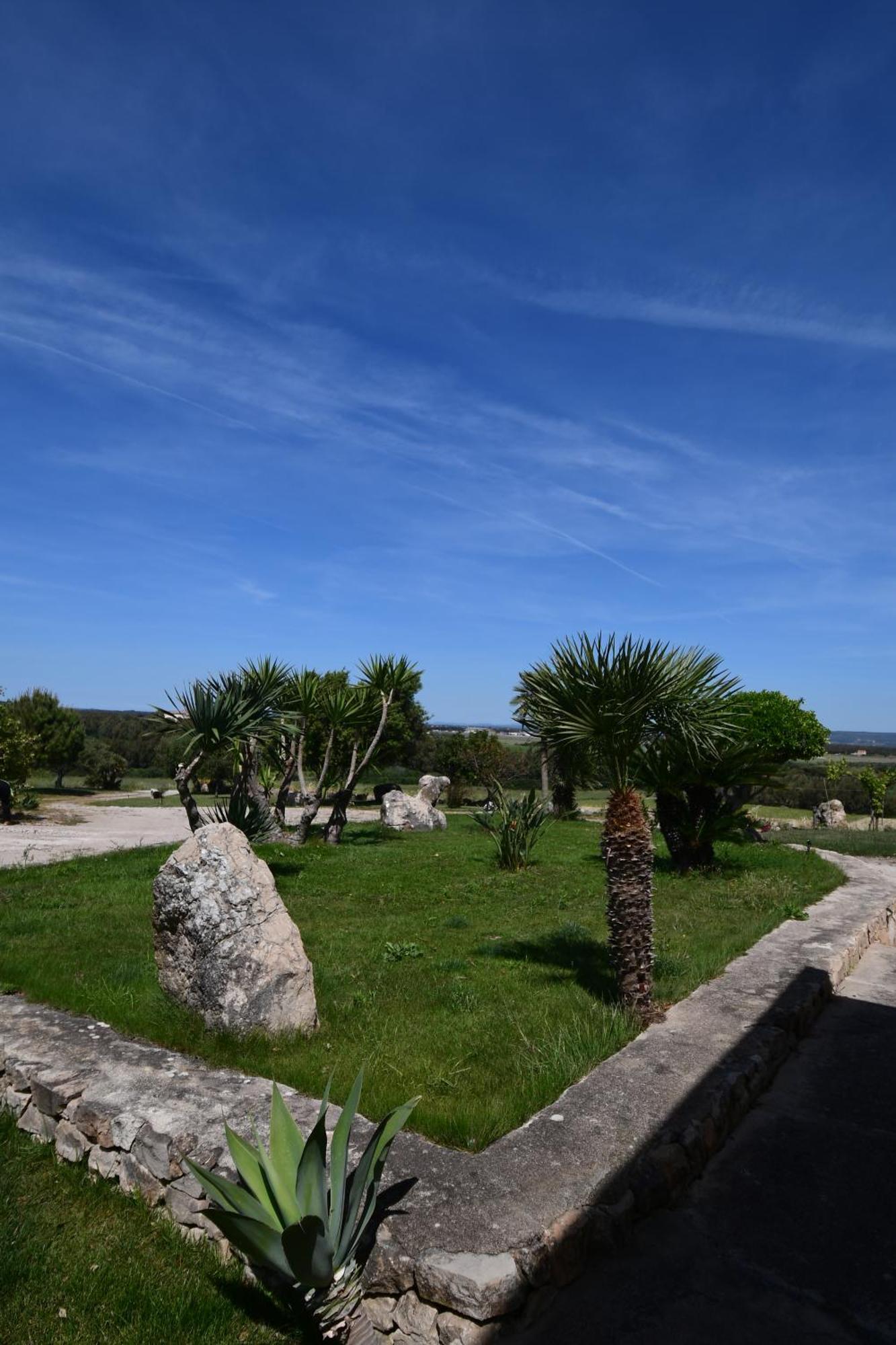 Fattoria La Traccia Villa Fertilia Eksteriør billede